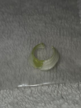Mattel Monster High White and Lime Green Doll Accessory